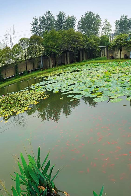 尊龙凯时登录首页(中国)官方网站